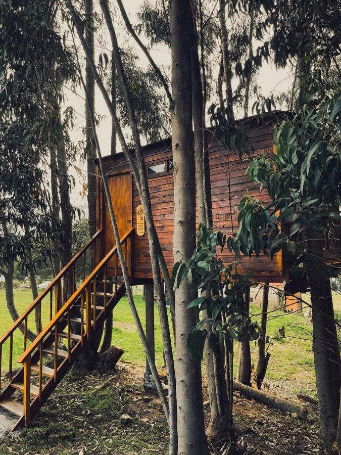 Casa En El Arbol Campsite *