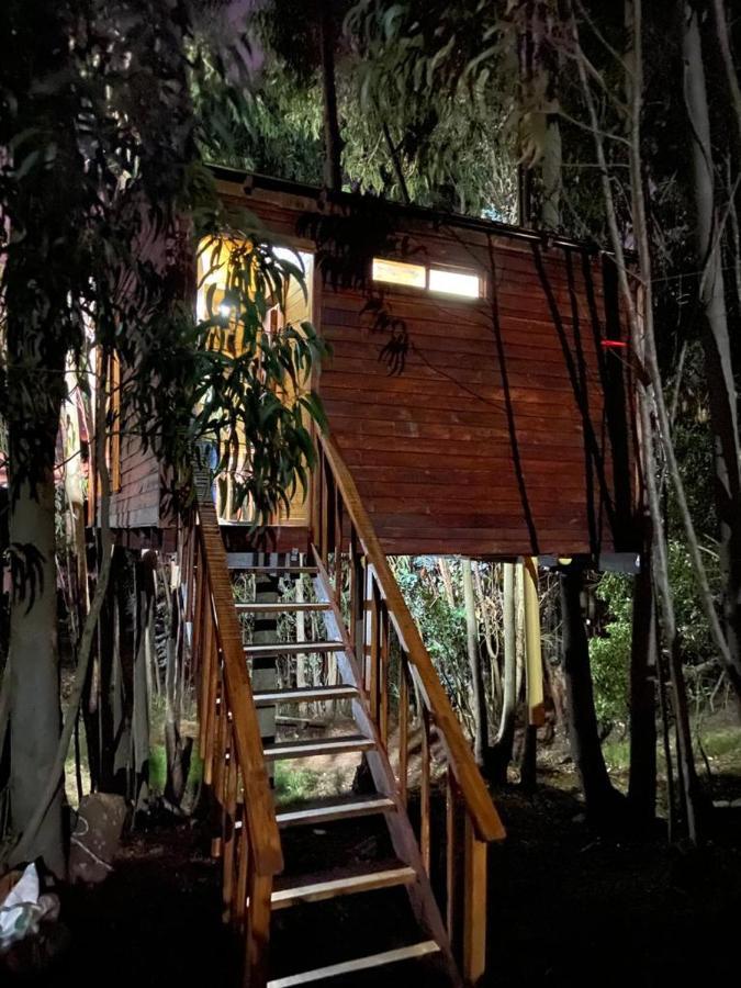 Casa En El Arbol * Guatavita