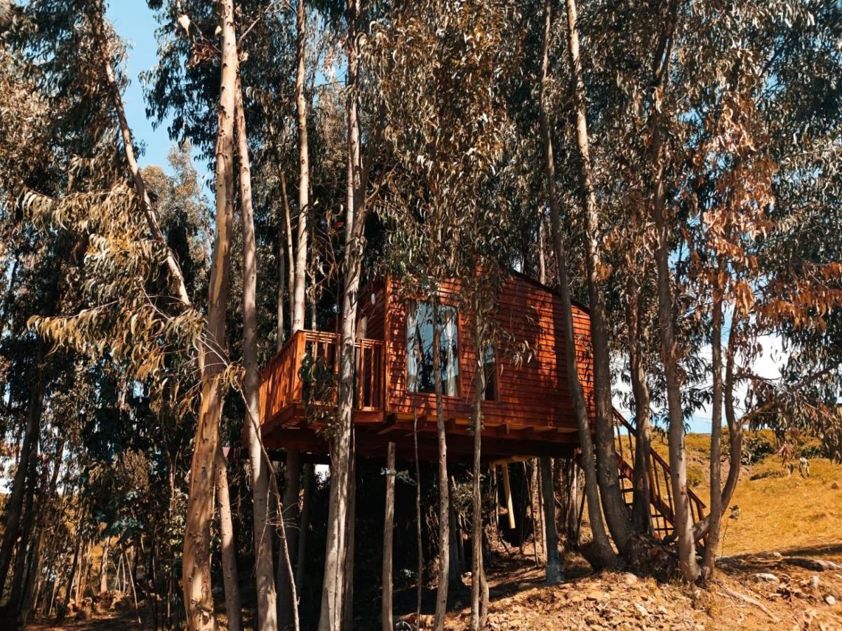 Casa En El Arbol Campsite Guatavita