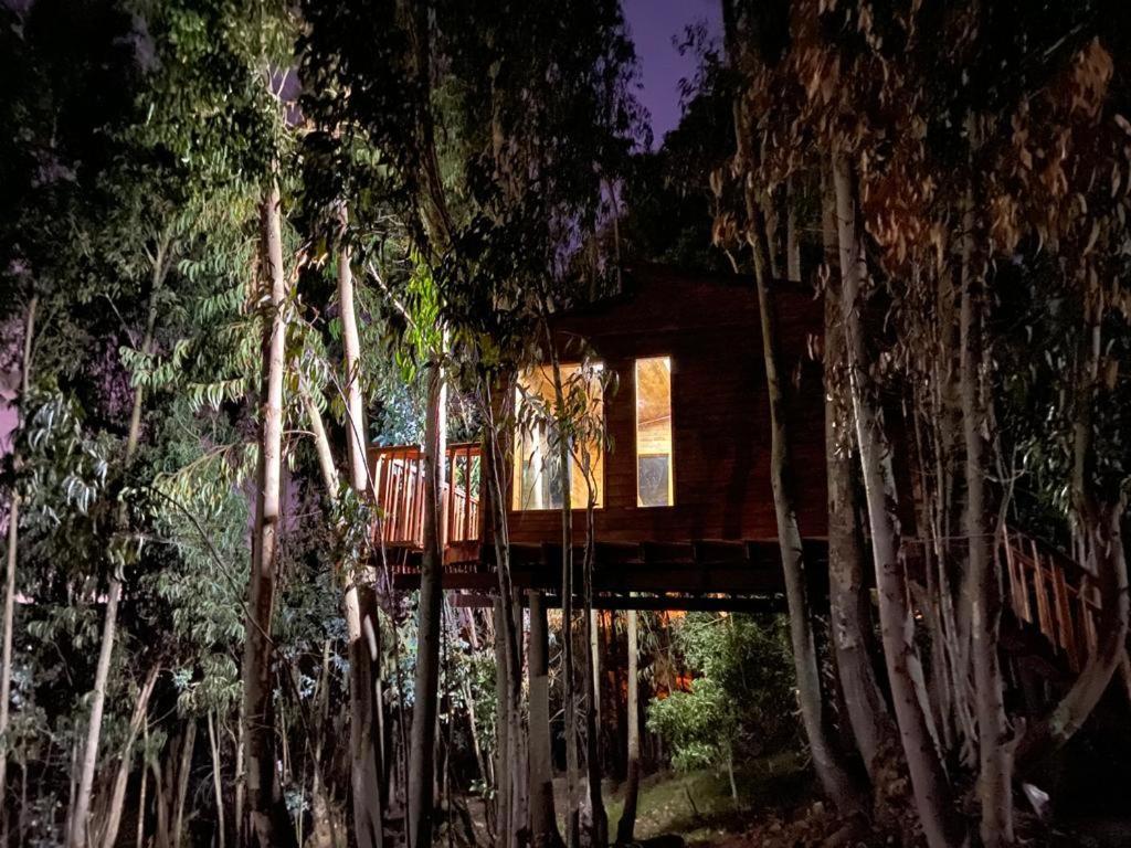 Casa En El Arbol Campsite Guatavita