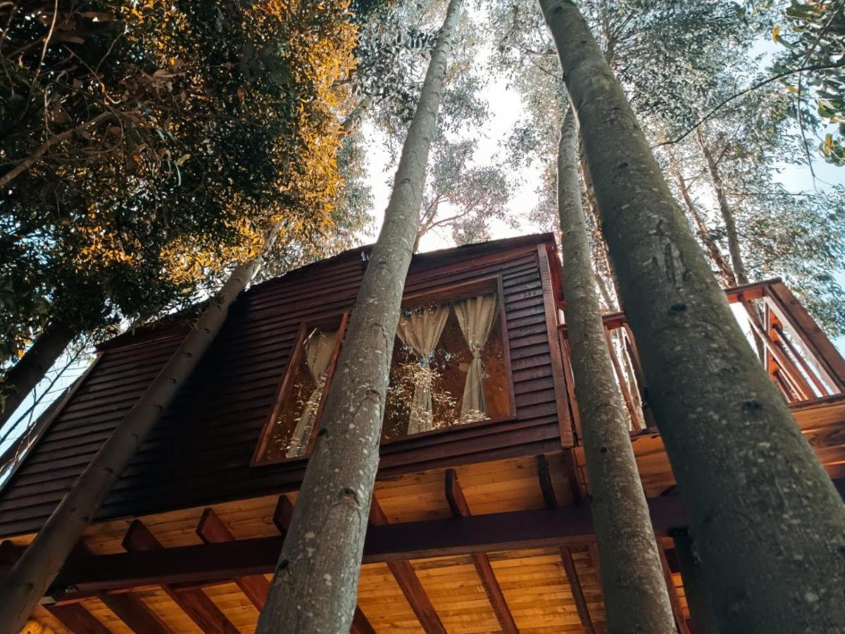 Casa En El Arbol Campsite Guatavita