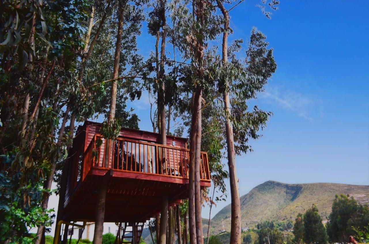Casa En El Arbol Campsite *