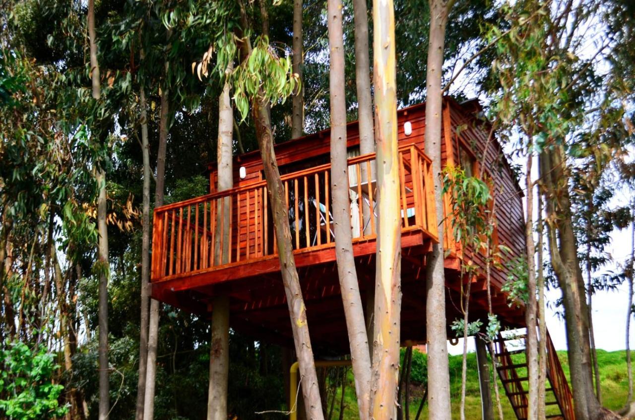 Casa En El Arbol *