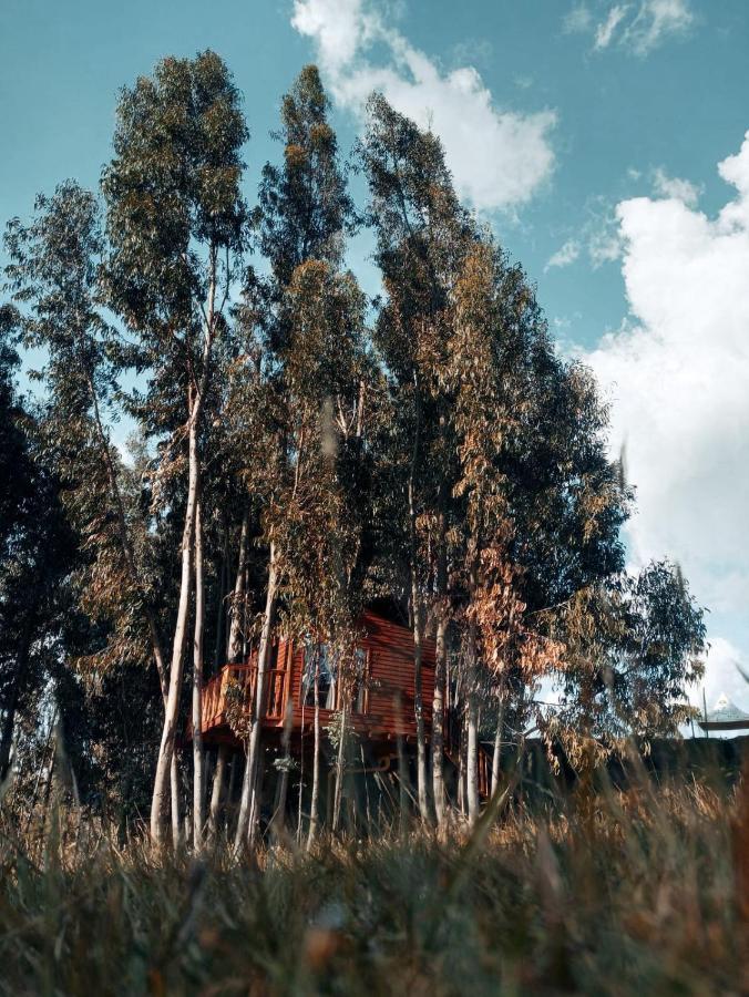 Campsite Casa En El Arbol Guatavita