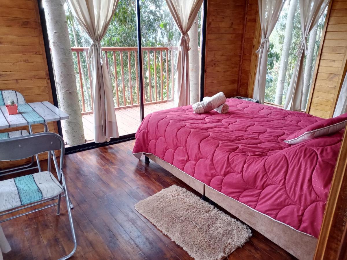Casa En El Arbol Guatavita