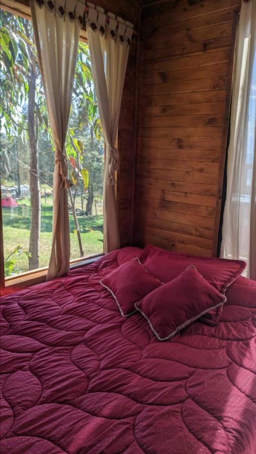 Casa En El Arbol Campsite