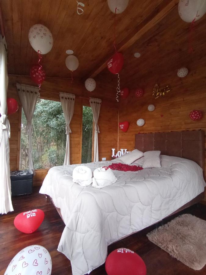 Campsite Casa En El Arbol *